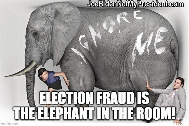 Election Fraud