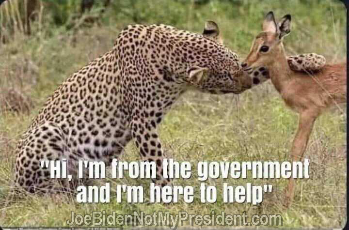Hi, I’m from the Government.
