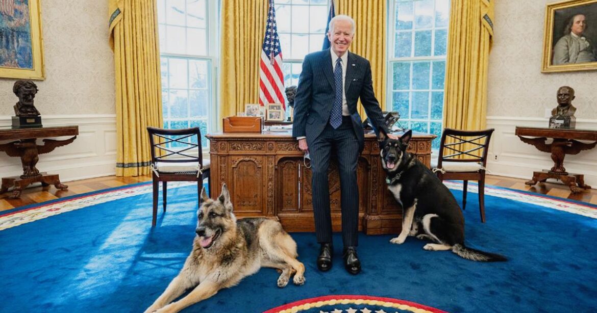 Biden’s Dogs Gone, but…