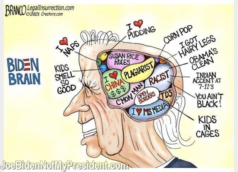 The Biden Brain