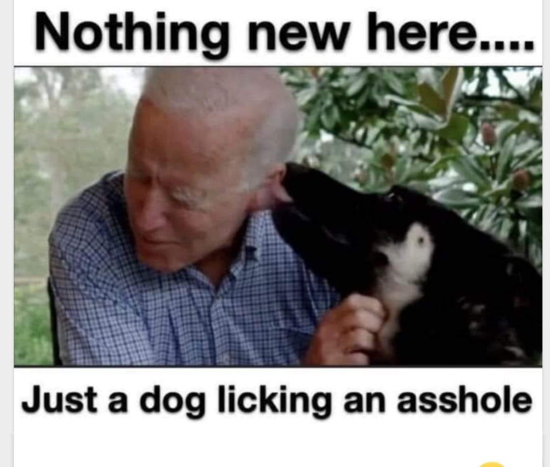 Dog Licking His Asshole