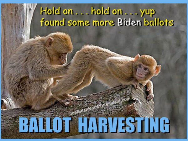 Democrat Ballot Harvesting