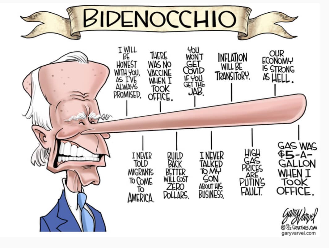 Bidenocchio