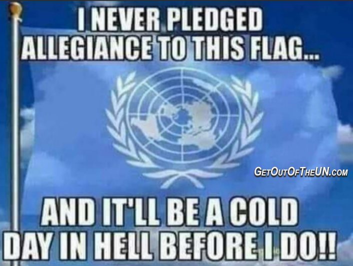 Get Out of the UN Now