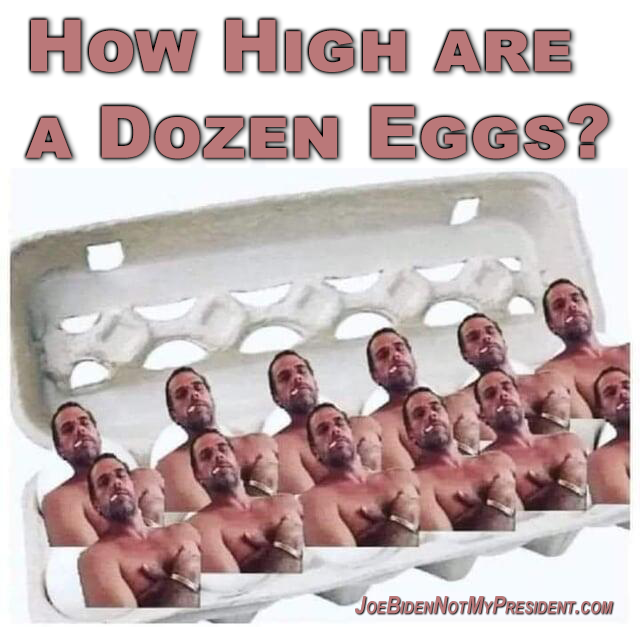 How High Are Eggs?